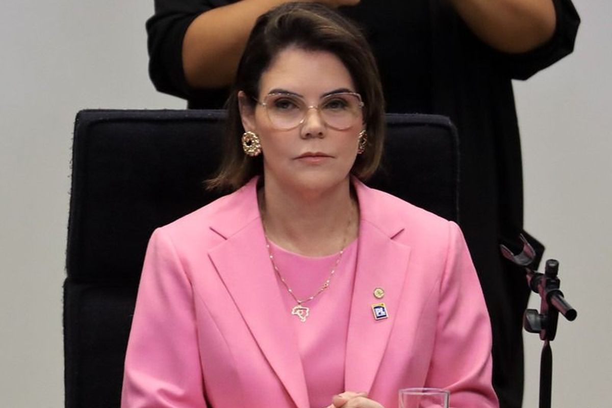 Deputada articula demandas de prefeitos de MT junto ao Congresso…