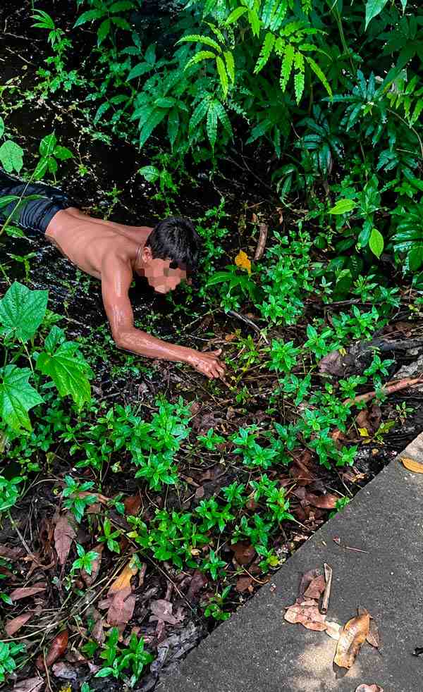Adolescente tenta matar a irmã a facadas enquanto ela dormia – SelesNafes.com