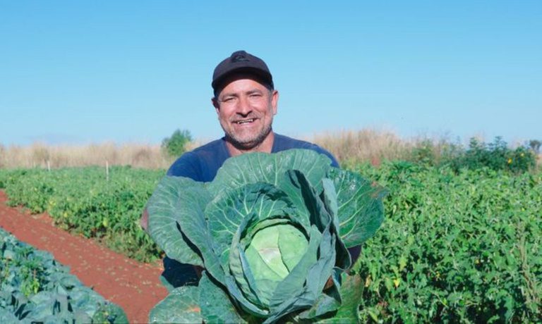 Agricultura familiar tem até dezembro para renegociar no Desenrola