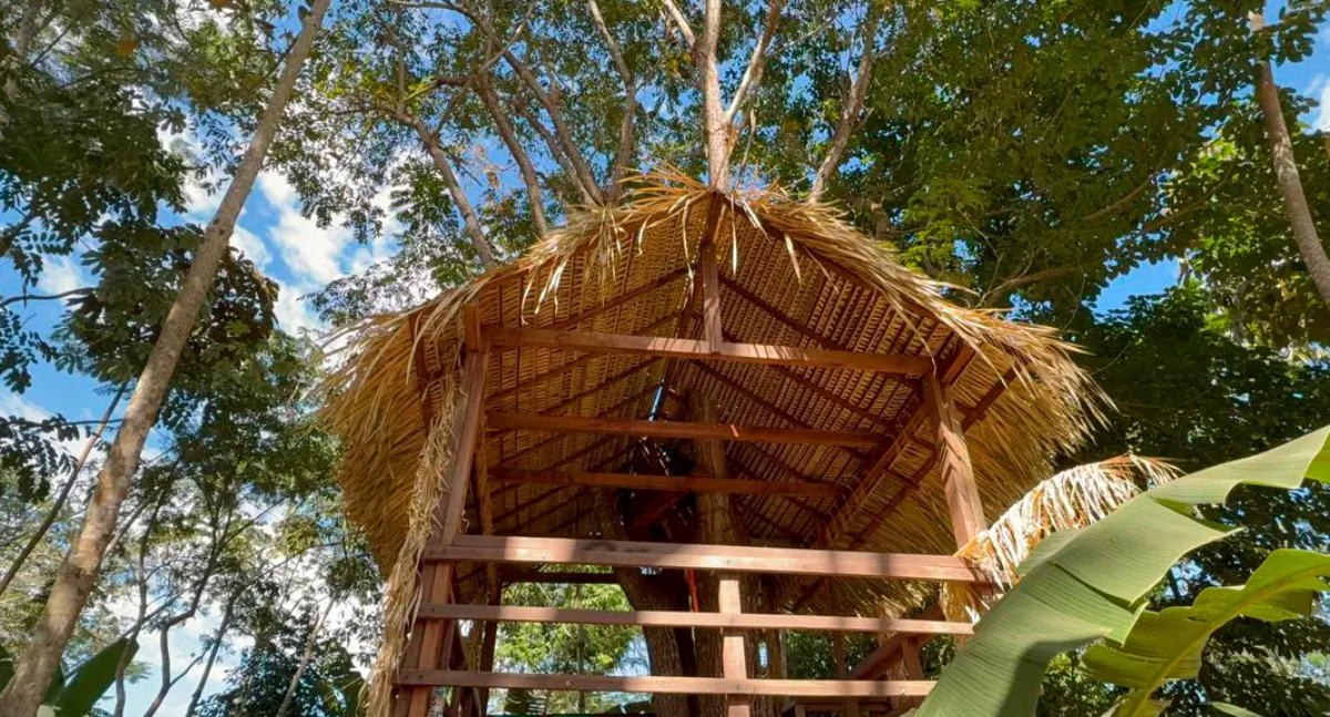 Agricultura indígena e etnoturismo ganham destaque com ações de sustentabilidade na 13ª edição da feira