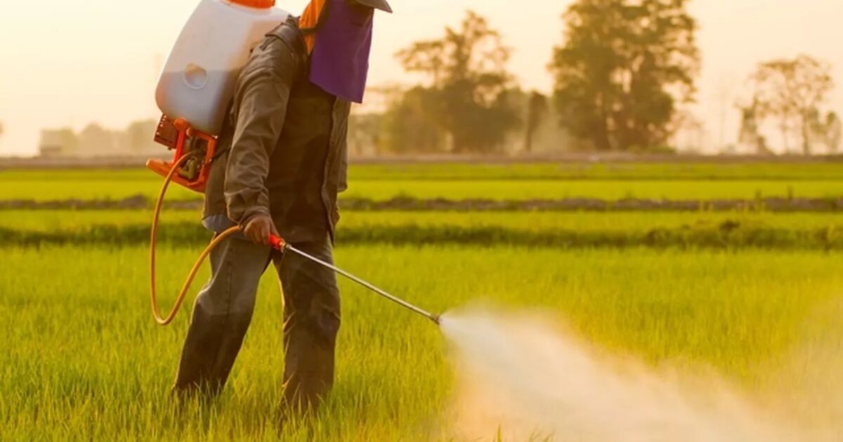 Governo vai monitorar presença de agrotóxico em bacias hidrográficas