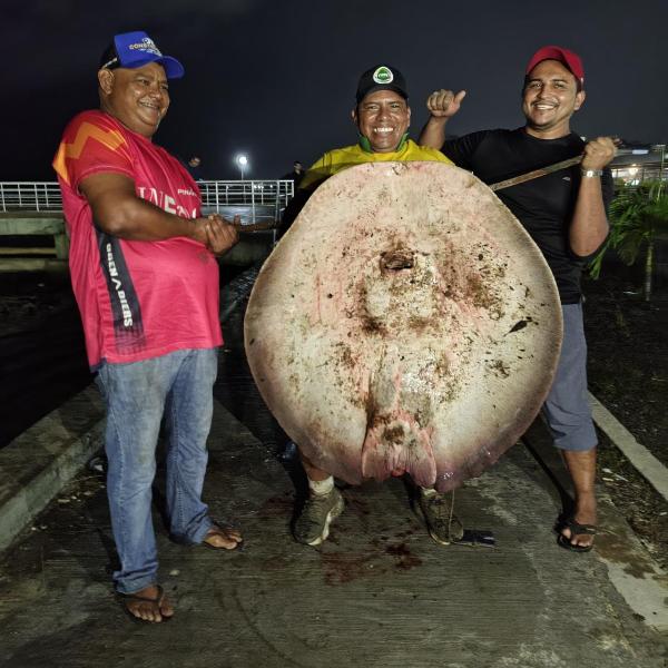 Amigos usam teto de carro para transportar arraia de 47kg – SelesNafes.com