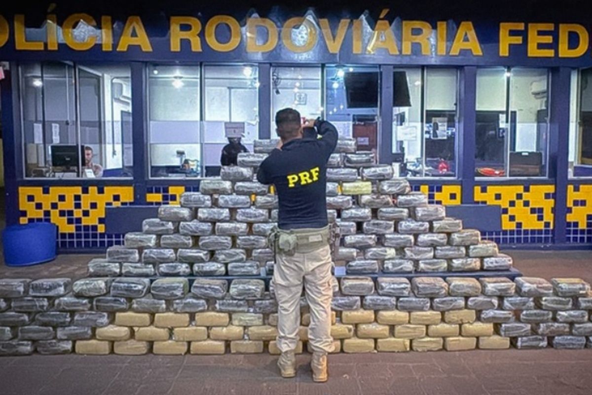 PRF apreende meia tonelada de skunk em fundo falso de caminhão na BR-364 …