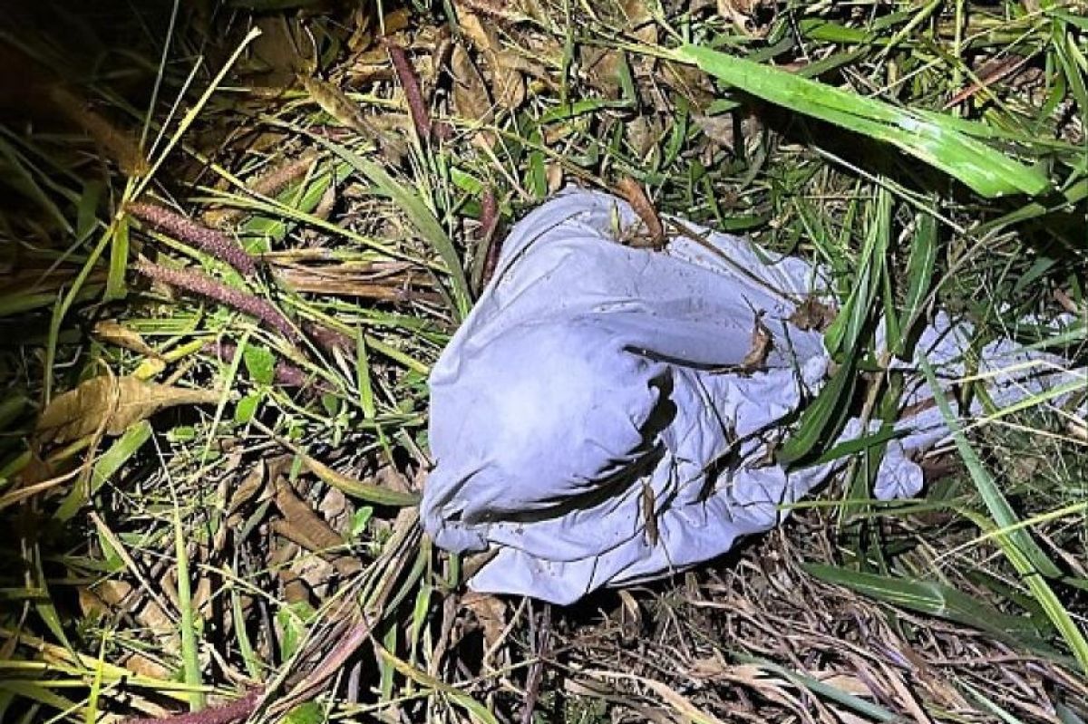 Jovem de 18 anos é morto e desovado em área de mata em MT…
