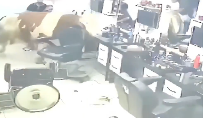 boi invade barbearia para escapar de abate e gera caos