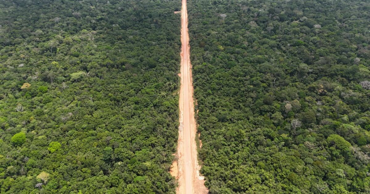 Ibama se manifesta a favor da BR-319 e enfraquece ação contra licenciamento