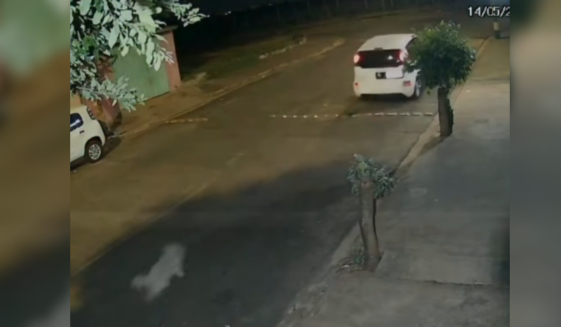 cachorro corre atrás de carro após ser deixado na rua