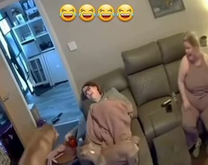 HILÁRIO! Cachorro desaforado encara tutora com resposta ‘na cara’; VEJA