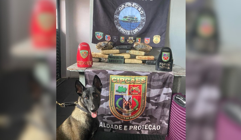 Cão policial encontra mais de 13 quilos de maconha escondidos em mala no AM