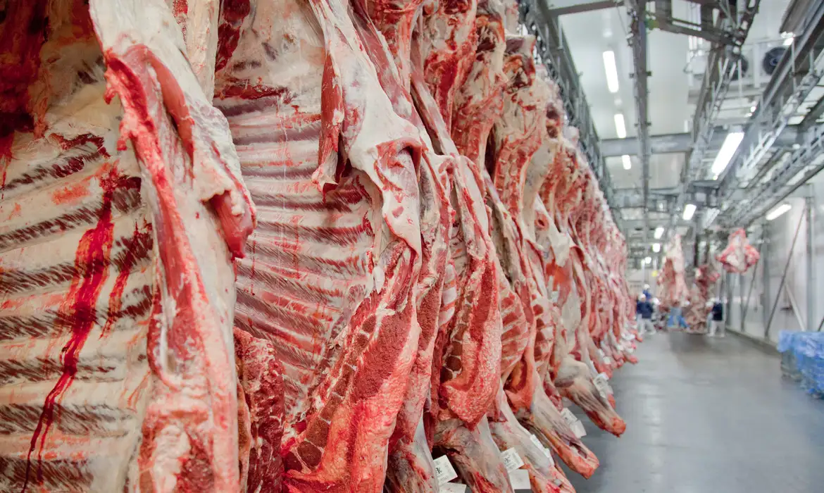União Europeia retira Brasil de lista de exportadores de produtos animais