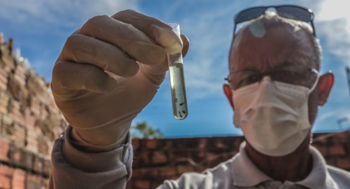 Combate à dengue avança e município zera óbitos pela doença em 2026