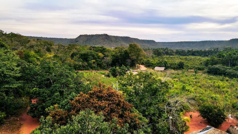 Maranhão reduz desmatamento em quase 30% em 2025, aponta relatório do MapBiomas
