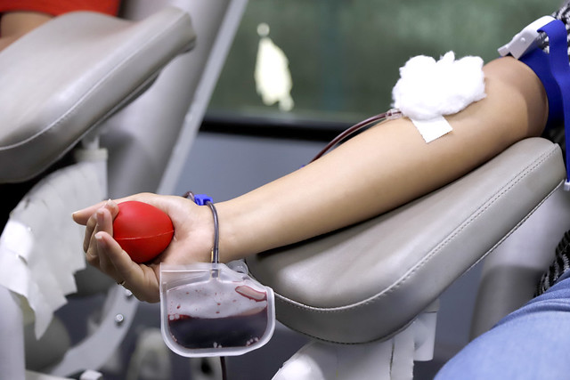 Hemoam convida doadores para mapear o DNA da população amazônica