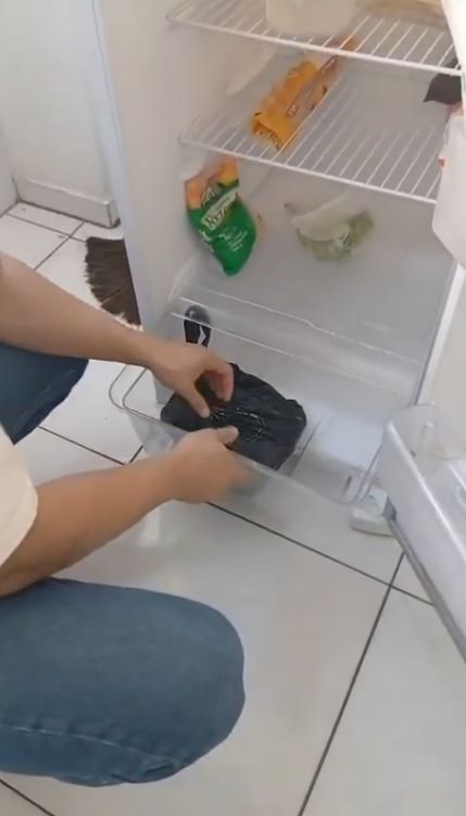 Traficante escondia drogas ao lado de alimentos na geladeira, diz polícia – SelesNafes.com