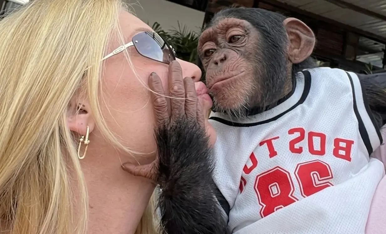 Virginia é criticada ao beijar macaco dias após término com Vini Jr