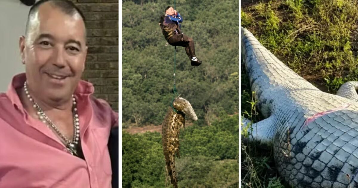 Restos mortais encontrados em crocodilo são de empresário português