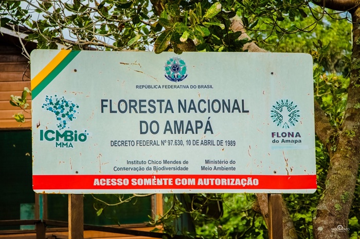 Ação na Justiça quer barrar mineração na Flona do Amapá – SelesNafes.com
