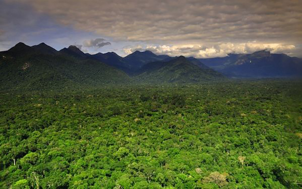 MPF ajuíza ação para impedir mineração na Floresta Nacional do Amapá – Diário do Amapá
