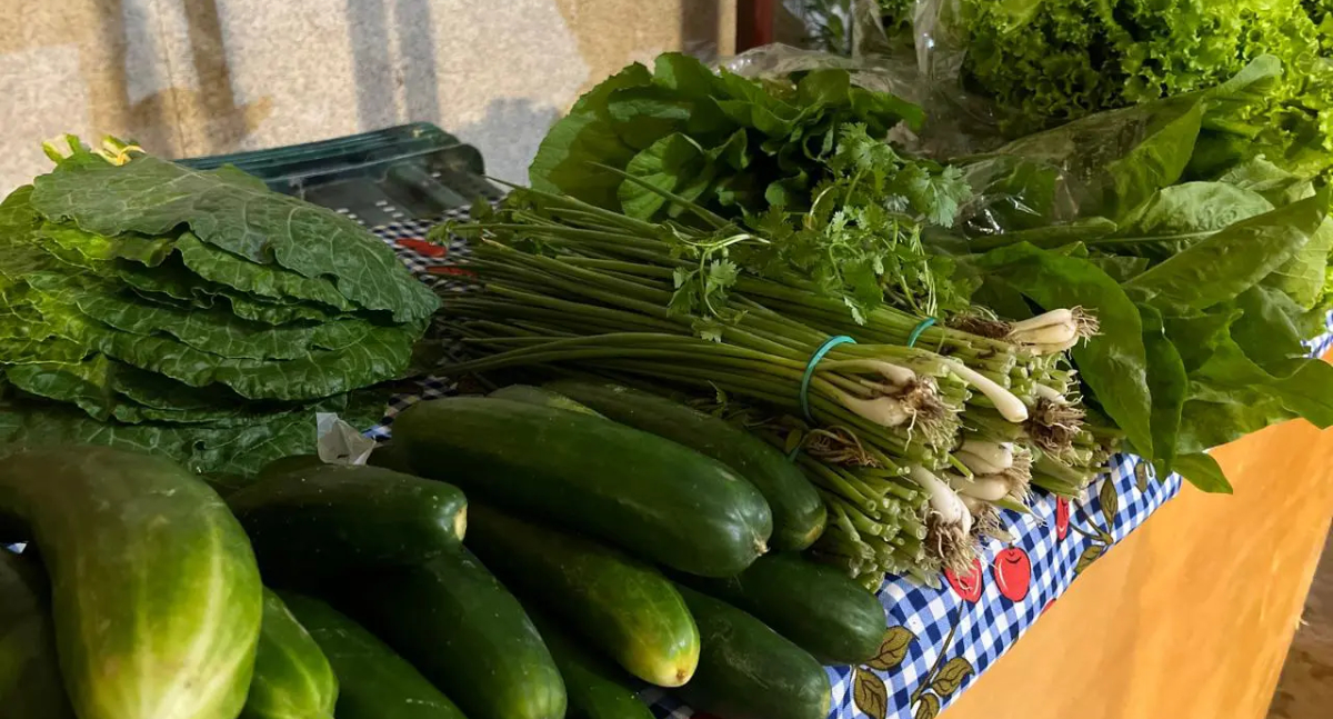 Governo de RO abre edital para fortalecer agricultura familiar com investimento de R$ 2,89 milhões