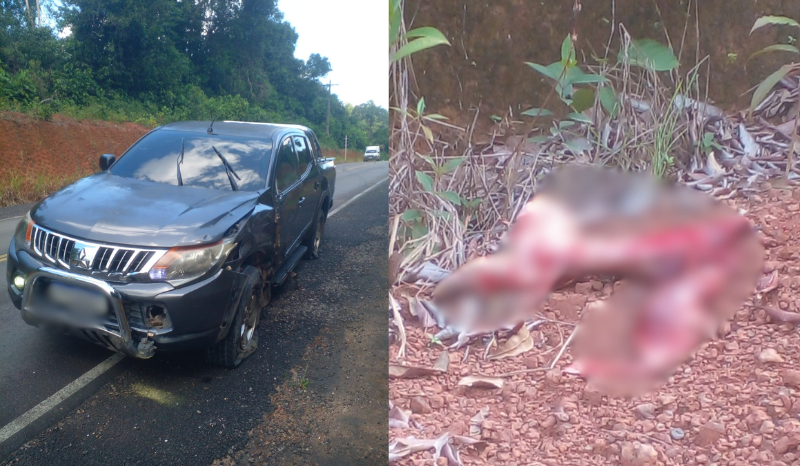motociclista tem perna decepada em grave acidente na AM-070