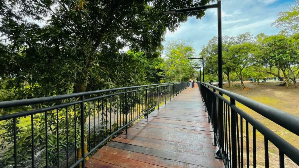 Semana do Meio Ambiente inicia com atividades educativas e serviços gratuitos no Horto Municipal – Diário do Amapá