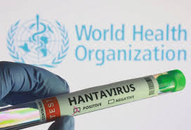 Hospital na Holanda coloca funcionários em quarentena após contato com paciente com hantavírus