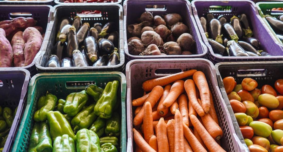 INCAvoluntário lança campanha para alimentar pacientes em tratamento
