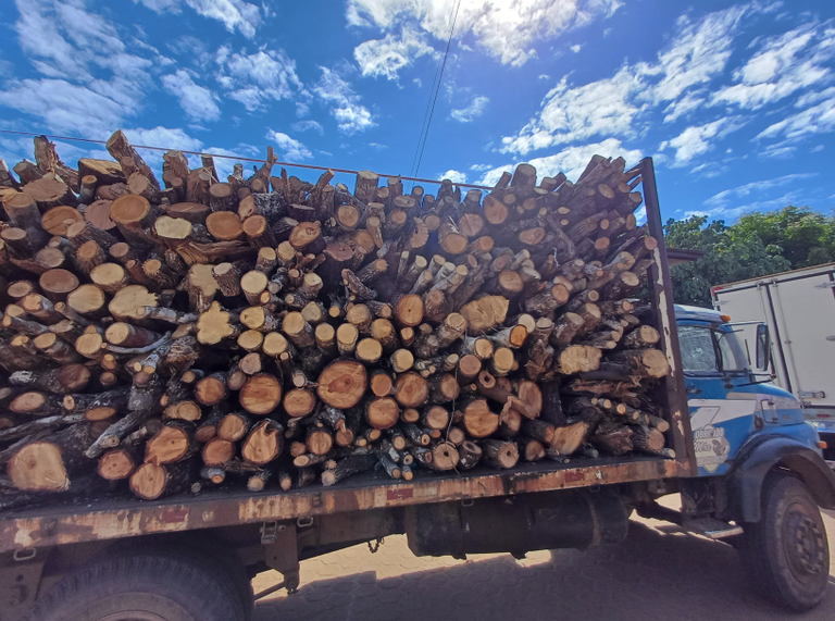 Cerca de 35 metros cúbicos de madeira nativa são apreendidos na BR-226, em Grajaú