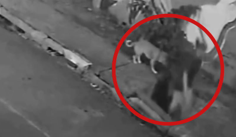mulher cai em bueiro com tampa solta, fica ferida e quebra dentes