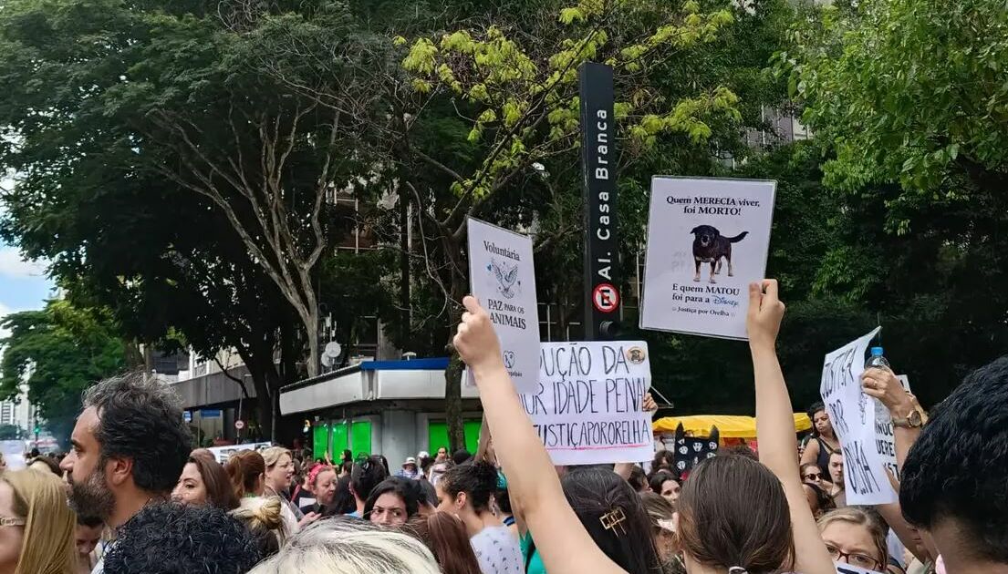 Justiça de SC aceita pedido e arquiva ‘Caso Orelha’ por completo