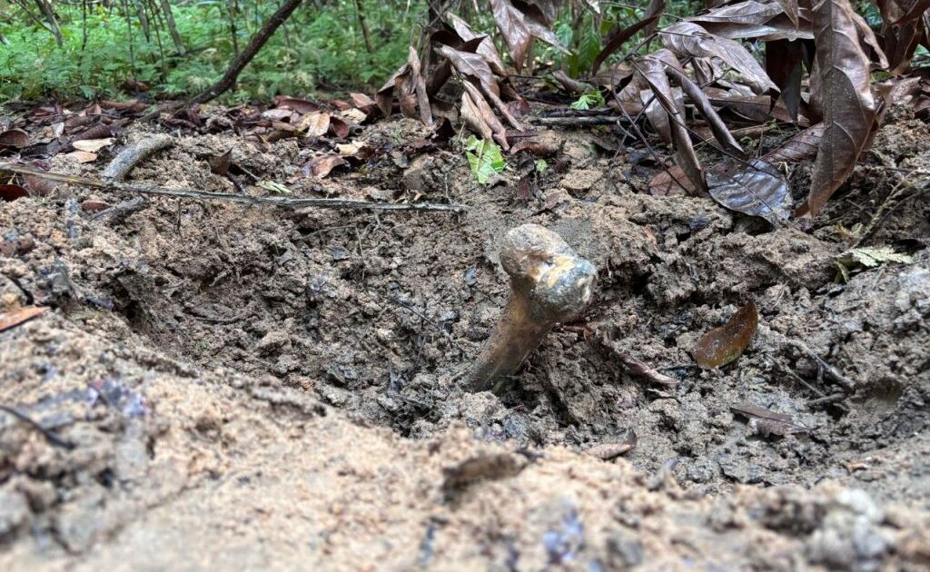 Ossada encontrada em mata de Iranduba pode ser de jovem desaparecido