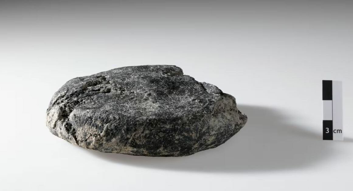 Pão de 2.000 anos é achado na Suíça em impressionante estado de conservação