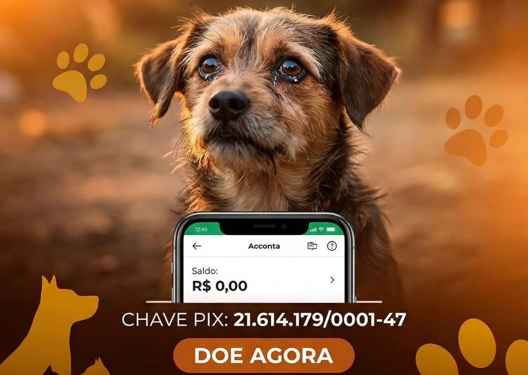 Dívida coloca em risco futuro de ONG de proteção animal no Acre