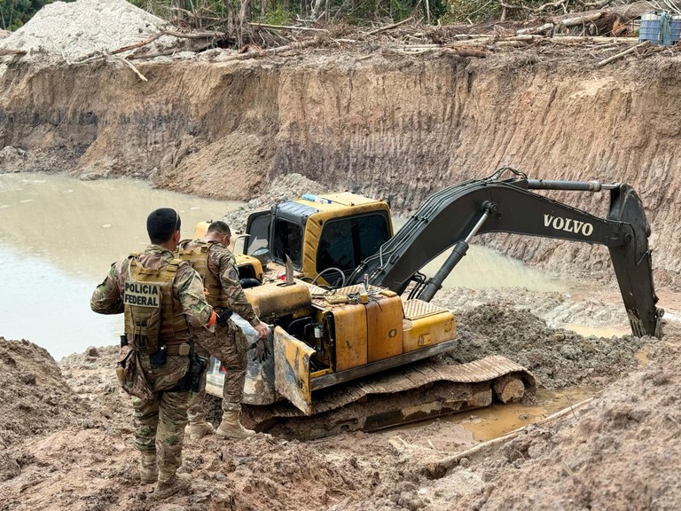 Grupo de garimpo ilegal destruiu área equivalente a 61 campos de futebol no AM