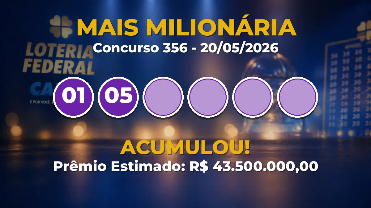 veja as dezenas do concurso 356 acumulado