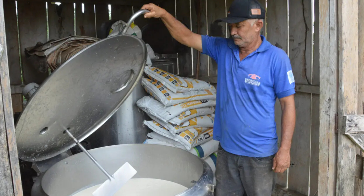 Rondônia Rural Show Internacional promove oficinas técnicas sobre inspeção e segurança alimentar