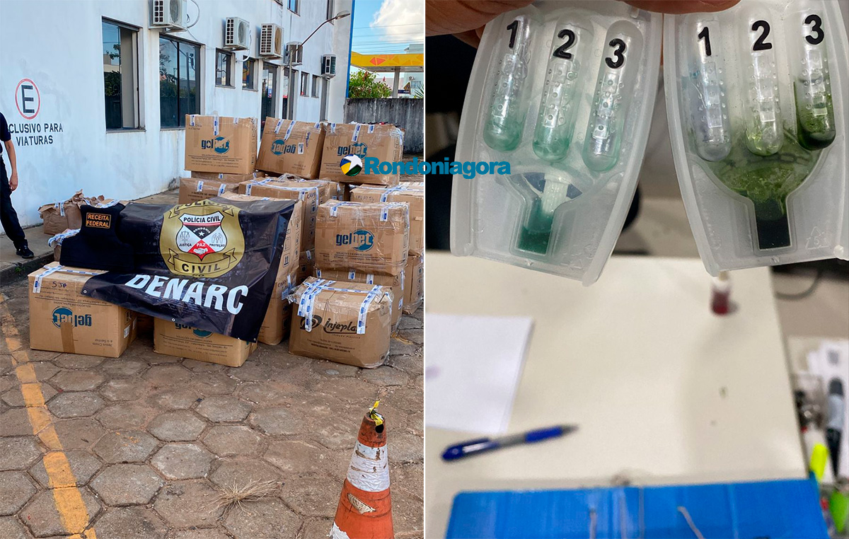 Carga com 10 mil cápsulas com derivados de cocaína é apreendida na BR-364