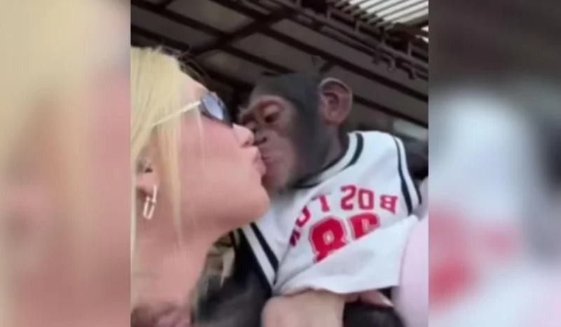 VÍDEO: Virginia fala de beijo em macaco e acusações de racismo: “Peço perdão”