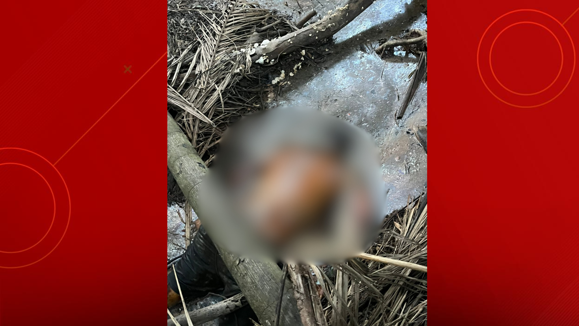 Vizinhos encontram corpo em estado de decomposição dentro de quintal