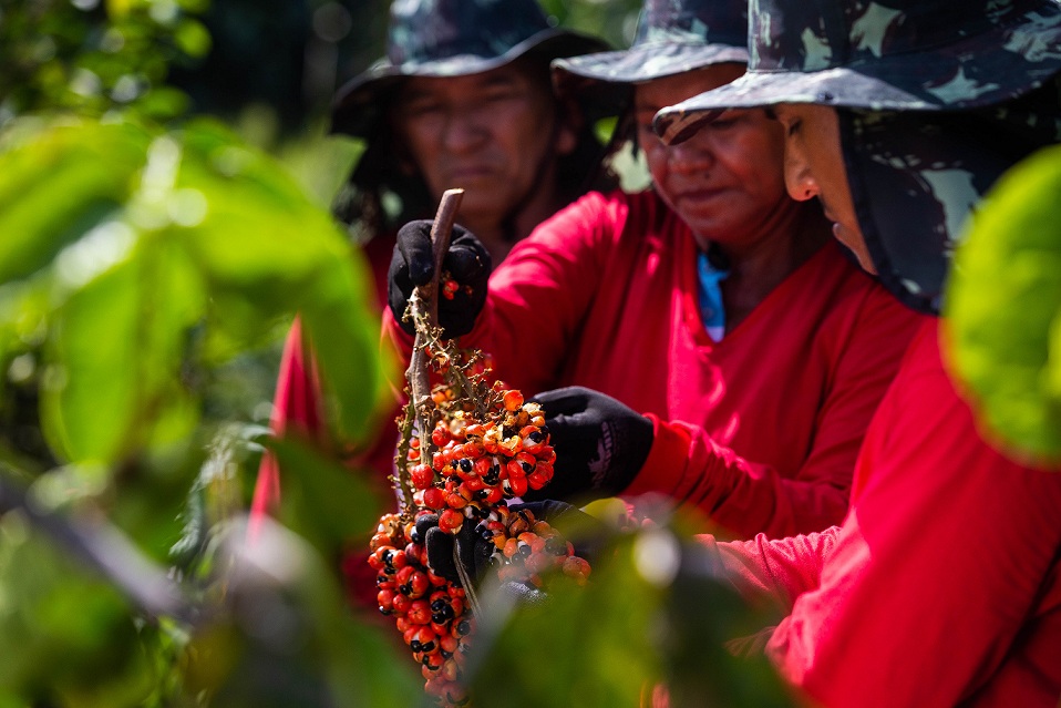 Comissão aprova criação de certificado verde para produtos da Amazônia