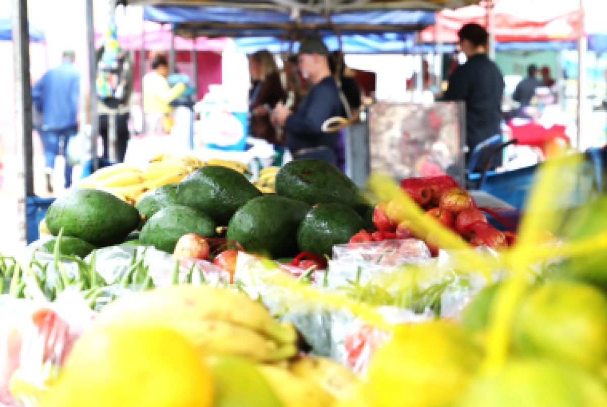 Feira da Agricultura Familiar mantém movimento e fortalece renda de produtores mesmo com frio em Cuiabá…