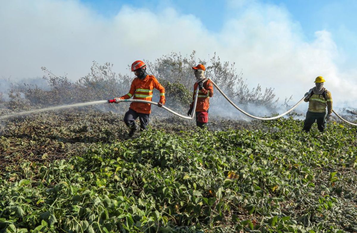 Corpo de Bombeiros divulga resultado da análise de títulos de seletivo para brigadistas temporários…