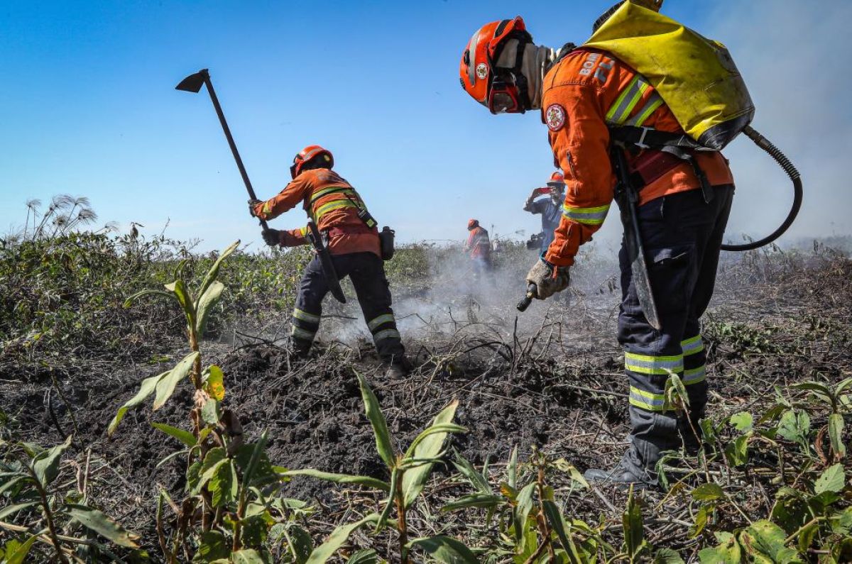 Corpo de Bombeiros convoca candidatos para Teste de Aptidão Física de seletivo para brigadistas temporários…