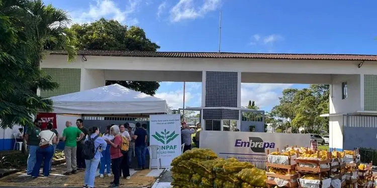 Servidores da Embrapa Amazônia Oriental aderem à paralisação nacional e promovem distribuição de frutas em Belém