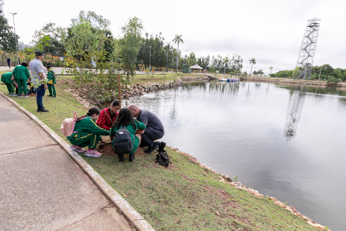 Ação planta 400 mudas com participação de 200 crianças em parque…