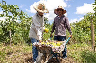 Agricultores familiares terão acesso a descontos para produtos em junho; entenda