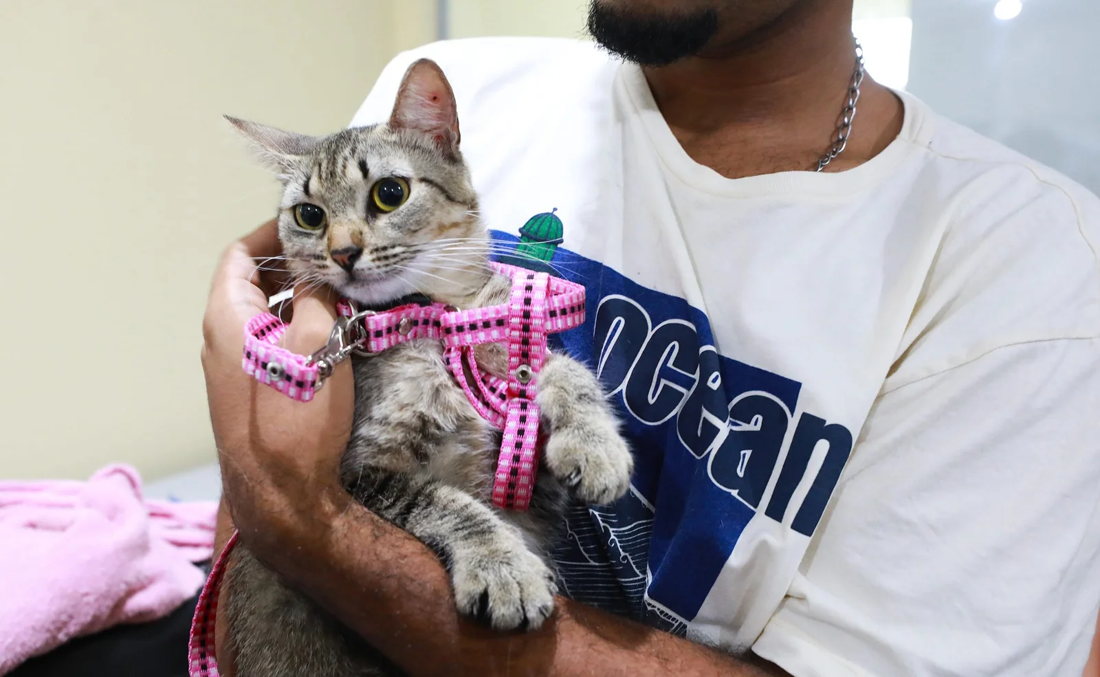 Belém Animal leva atendimento veterinário gratuito a Icoaraci a partir de segunda-feira