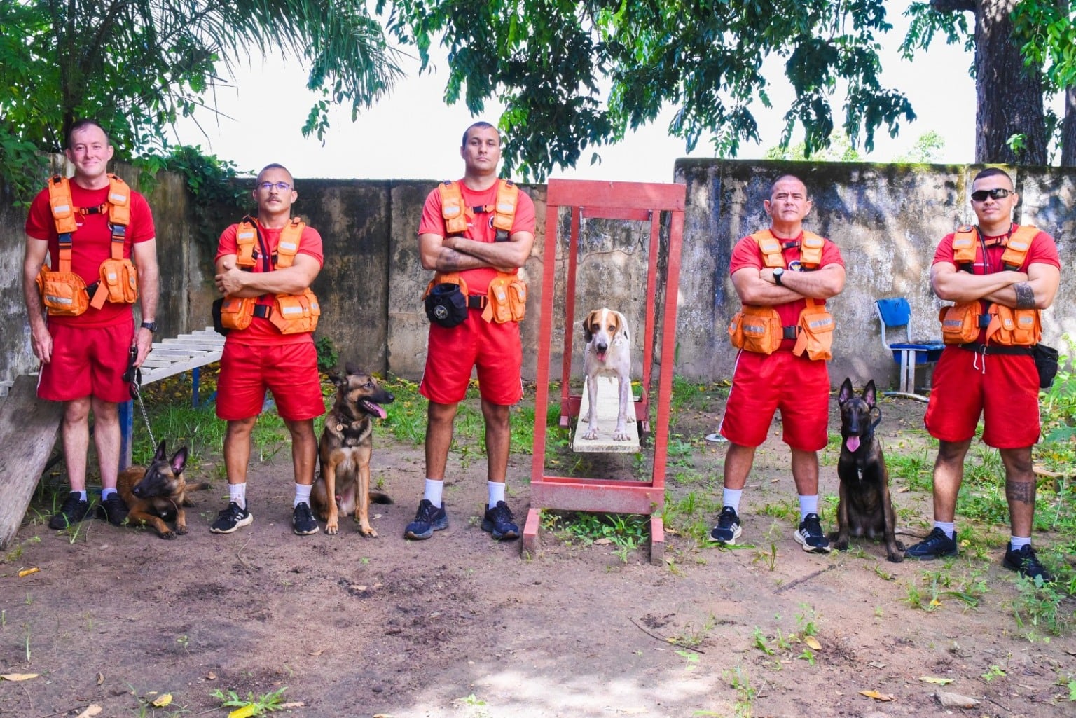 Cães do Corpo de Bombeiros são treinados para atuar em buscas por desaparecidos em Roraima