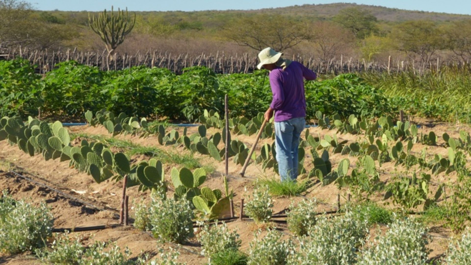 Transação tributária destinará terras a 5,7 mil famílias no Maranhão e na Paraíba
