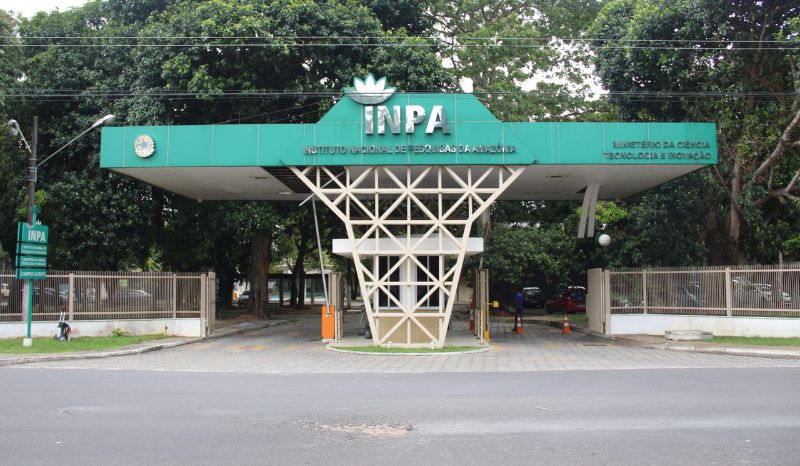 Inpa e Musa inauguram exposição e lançam livro sobre cogumelos da Amazônia